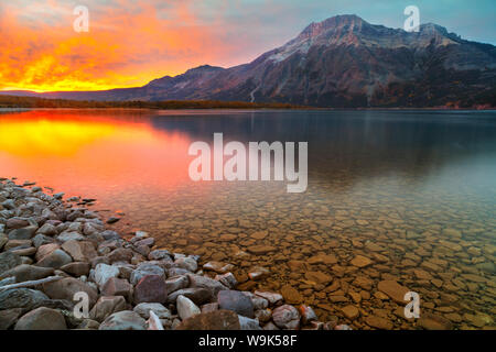 Sonnenaufgang im Driftwood Beach mit Vimy Peak im Hintergrund, Waterton Lakes National Park, Alberta, Kanada, Nordamerika Stockfoto