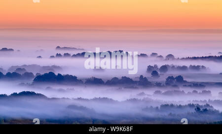 Schichten von Nebel umgeben die Bäume von Delamere Forest an einem kalten Herbst Dämmerung in Cheshire, England, Vereinigtes Königreich, Europa Stockfoto