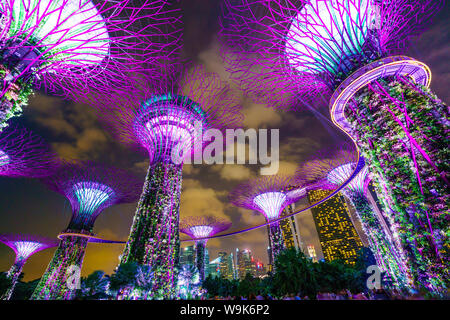 Supertree Grove in den Gärten an der Bucht, eine futuristische botanische Gärten und Park, nachts beleuchtet, Marina Bay, Singapur, Südostasien, Asien Stockfoto