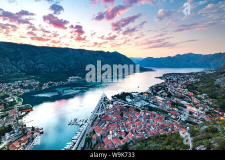 Blick auf die Altstadt von Kotor und über die Bucht von Kotor aus gesehen die Festung bei Sonnenuntergang, UNESCO-Weltkulturerbe, Montenegro, Europa Stockfoto