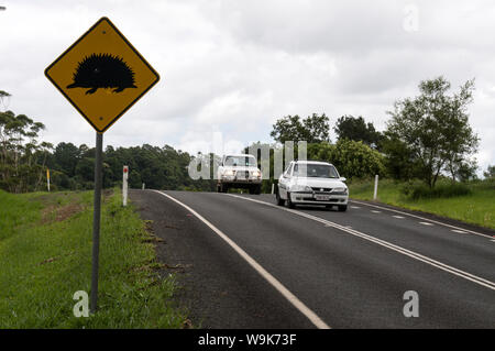Ein Straßenwarnzeichen für eine Echidna und manchmal auch Stachelanteater im Hinterland von Queensland an der Sunshine Coast in Queensland, Australien. Stockfoto