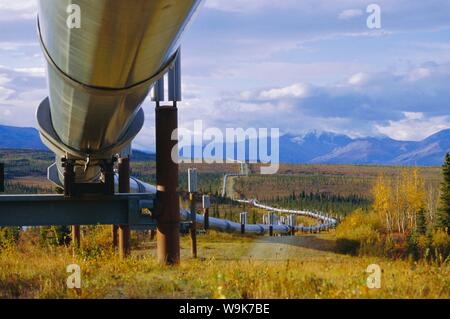 Trans-Alaska-Erdöl-Pipeline über Taiga durch Alaska Range geweitermacht isolierten Boden Pfähle, Alaska, USA Stockfoto