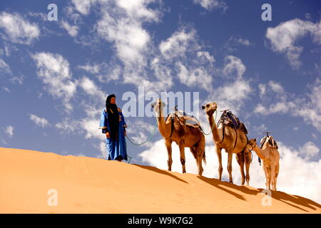 Berber Mann in blauem Gewand mit drei Kamele auf dem Kamm einer Düne in der Erg Chebbi Sand Sea in der Nähe von Fes, Marokko, Nordafrika, Afrika Stockfoto