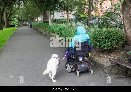 Assistant, Hund, helfen, Frau, in, Rollstuhl, Mobilität, Scooter, at, CAE-Glas Park, Oswestry, a, Markt, Stadt, in, Shropshire, Grenze, von, Wales, England, GB, VEREINIGTES KÖNIGREICH, Stockfoto