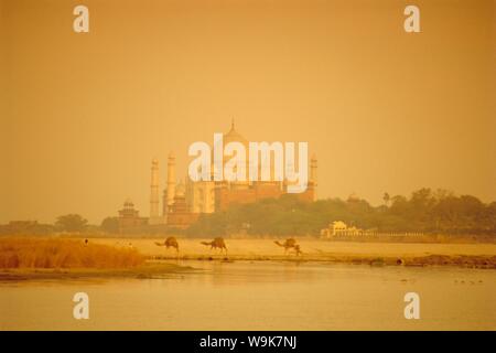 Das Taj Mahal, durch den Moghul Kaiser Shah Jehan (Jahan) Über vom Jamna (Yamuna River, Agra, Uttar Pradesh, Indien gebaut Stockfoto