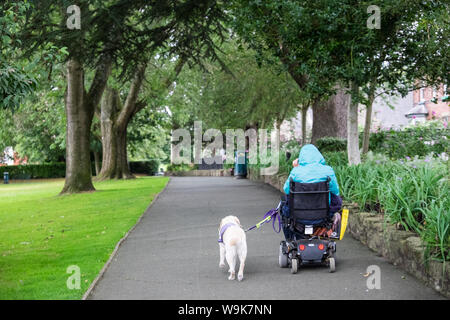 Assistant, Hund, helfen, Frau, in, Rollstuhl, Mobilität, Scooter, at, CAE-Glas Park, Oswestry, a, Markt, Stadt, in, Shropshire, Grenze, von, Wales, England, GB, VEREINIGTES KÖNIGREICH, Stockfoto