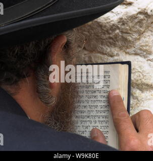 Nahaufnahme eines orthodoxen Juden holding Gebetbuch gegen die Wand und betete, Klagemauer, Jerusalem, Israel, Naher Osten Stockfoto