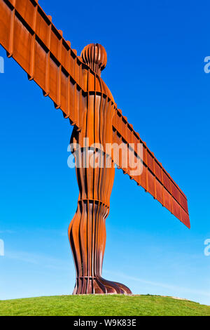 Der Engel des Nordens Skulptur von Antony Gormley, Gateshead, Newcastle-upon-Tyne Tyne und Wear, England, Vereinigtes Königreich, Europa Stockfoto