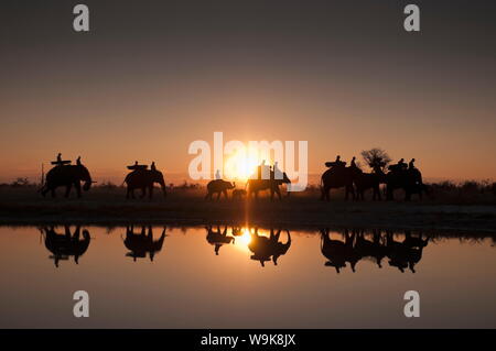 Dem Rücken eines Elefanten Safari, Abu Camp, Okavango Delta, Botswana, Afrika Stockfoto