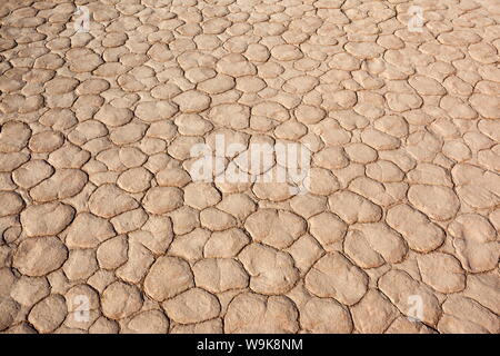 Getrocknete Schlamm, Dead Vlei, Namib-Wüste, Namibia, April 2013 Stockfoto