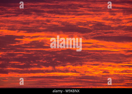 Sunrise cloudscape, Kgalagadi Transfrontier Park, Südafrika, Afrika Stockfoto