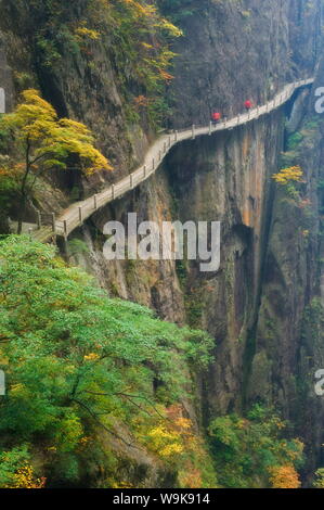 Wanderweg entlang der Felsen Gesicht, Xihai (Westmeer) Tal, Berg Huangshan (Yellow Mountain), Provinz Anhui, China, Asien Stockfoto