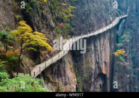 Fußweg entlang der Felswand, Xihai (West) Valley, Mount Huangshan (Gelber Berg), UNESCO-Weltkulturerbe, Provinz Anhui, China, Asien Stockfoto