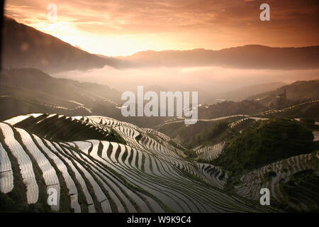 Longsheng terrassierten Reisfelder, Provinz Guangxi, China, Asien Stockfoto