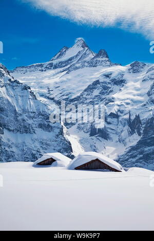 Teilweise Gebäude auf der Piste vor dem schreckhorn Berg, Grindelwald begraben, Jungfrau Region, Berner Oberland, Schweiz Stockfoto