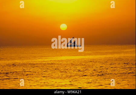 Traditionelles Dhoni Segelboot bei Sonnenuntergang, Malediven, Indischer Ozean, Asien Stockfoto