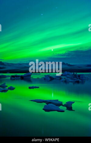 Die Nordlichter (Aurora Borealis), Jökulsárlón, Südisland, Polarregionen Stockfoto