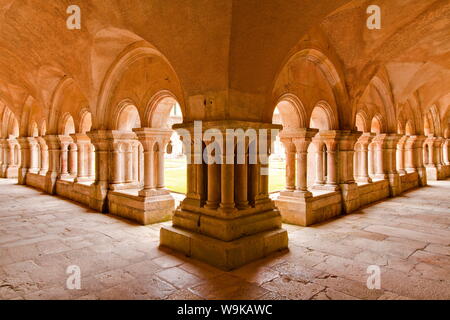 Der Kreuzgang von Fontenay Abbey, UNESCO-Weltkulturerbe, Cote d ' or, Burgund, Frankreich Stockfoto