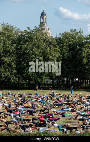 Dresden, Deutschland. 14 Aug, 2019. Bei einem Yoga Kurs an der 'Palaissommer' im Japanischen Palais vor der Kulisse der Dresdner Altstadt, zahlreiche Teilnehmer Übungen mit der Frauenkirche auf einer Wiese. Credit: Robert Michael/dpa-Zentralbild/dpa/Alamy leben Nachrichten Stockfoto