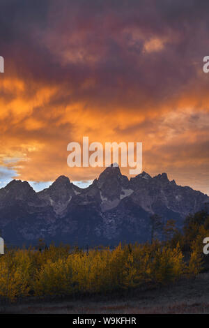 Teton Bergkette bei Sonnenuntergang mit Espe Wald und Peak Herbstfarbe, Grand Teton National Park, Wyoming Stockfoto