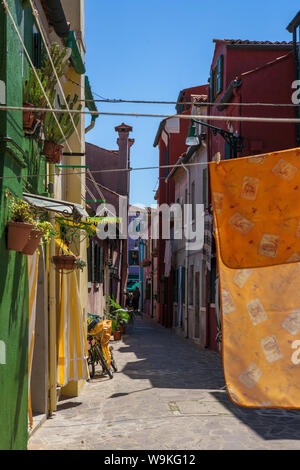 Calle dei Saladi: typische Gasse in Burano, Lagune von Venedig, Venetien, Italien Stockfoto