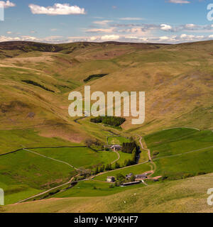 Aussicht auf die Landschaft im Frühjahr in den Oberen in der Nähe von Coquetdale Shilmoor, Northumberland National Park, Northumberland, England, Vereinigtes Königreich Stockfoto