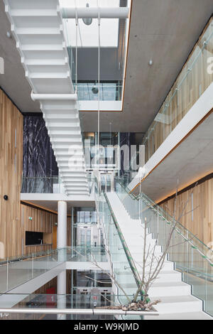 Haupttreppe im Atrium, mit Pappel strip verkleideten Wänden. DE KOM-Theater, Nieuwegein, Niederlande. Architekt: de Architekten Cie., 2012. Stockfoto