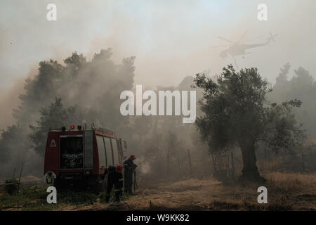 Athen, Griechenland. 14. Aug 2019. Die Feuerwehrleute eine Flamme an Makrymalli Dorf auszulöschen, auf Evia Island, Griechenland, am 12.08.14., 2019. Inmitten der andauernden Bemühungen um eine destruktive wildfire zu löschen, der griechische Premierminister Kyriakos Mitsotakis am Mittwoch forderte eine stärkere Zusammenarbeit der Europäischen Union (EU) Mitglieder Zukunft Naturkatastrophen zu bewältigen. Er machte den Anruf während eines Besuchs in Brand geratenen Evia Insel. Quelle: Xinhua/Alamy leben Nachrichten Stockfoto