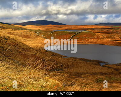 Wunderschöne irische Landschaft mit Blick auf einen Connemara See mit goldenem Gras Und Berge im Hintergrund Stockfoto