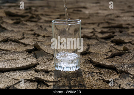 Reine klare, frische Wasser wird in einem Becherglas steht in der Mitte einer trockenen Risse im Lehm wüste Land gegossen Stockfoto