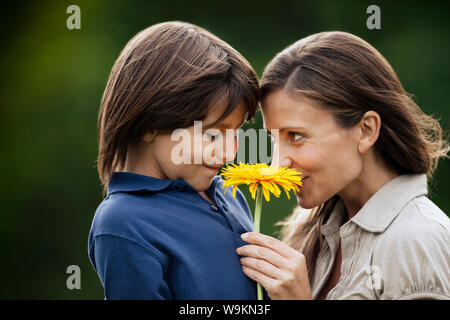 Junge seine Mutter eine Sonnenblume. Stockfoto