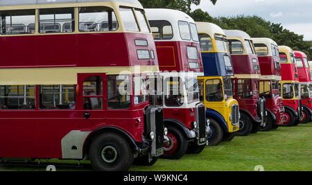 Linie der Busse in Alton Bus Rallye & läuft Tag 2019 Stockfoto