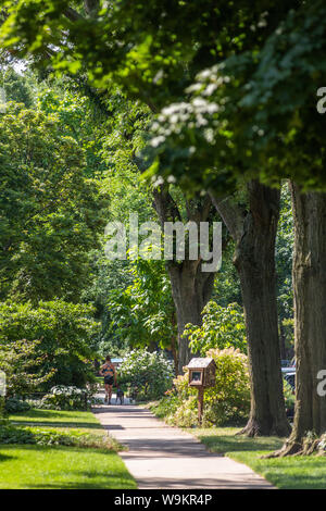 Mit Bäumen gesäumten Straße in der Lakewood Balmoral Nachbarschaft Stockfoto