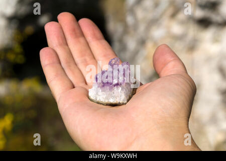 Druse von natürlichen unbehandelt violette Kristalle Amethyst auf ein Stück Felsen liegt auf der Hand Stockfoto