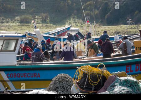 Die Arbeitnehmer wählen Sie krabben von Fischernetzen auf La Rinconada Strand in Itata, Chile Stockfoto