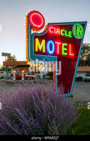 Dämmerung Blick auf Retro neon Schild; 1955 Studebaker President classic car Vor antiken gas Pumpen elektrische Auto Ladegeräte konvertiert abgestellt; die Circl Stockfoto