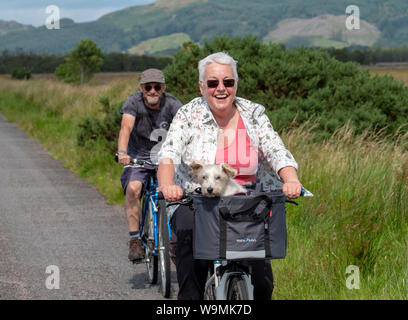 Portrait Of Happy Radfahrer mit einem kleinen Hund in ihrem Fahrrad Korb in der Nähe von Crinan, Argyll. Stockfoto