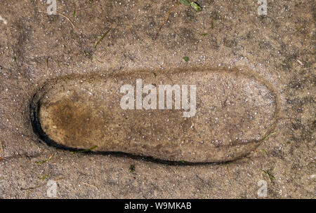 Dunadd Fort, Kilmartin Glen, Argyll, Schottland. Stockfoto