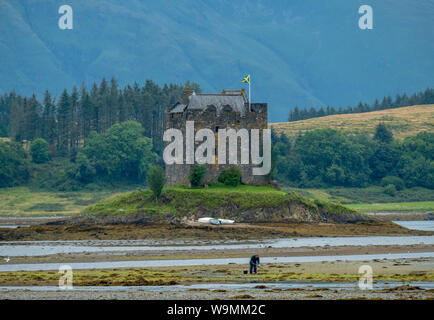 Castle Stalker dargestellt bei Ebbe, der mittelalterliche Turm Haus liegt auf einer kleinen Insel an der Mündung des Loch Laich, Argyll, Schottland gebaut. Stockfoto