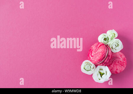 Zusammensetzung von zwei rosa Französische macarons und weiße Blumen auf rosa Hintergrund. Flach, Platz für Text. Stockfoto