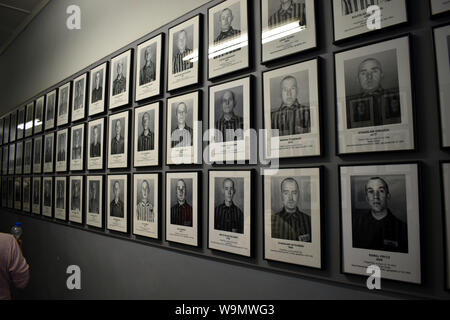 Eine Wand von Fotografien der frühen Häftlinge im Konzentrationslager in Polen Stockfoto