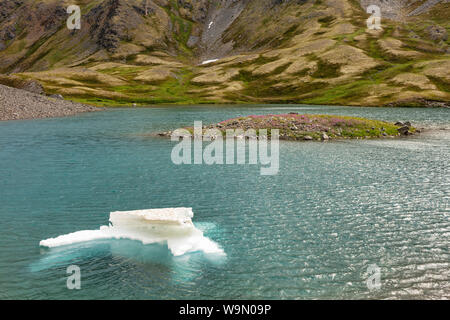 Eisberg in Tarn in der alpinen von Palmer Creek Valley in Southcentral Alaska. Stockfoto