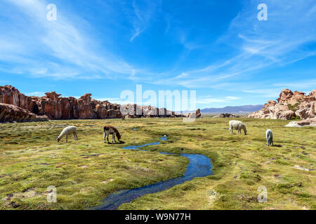 Lamas und Alpakas in ruhiger grüner Landschaft mit geologischen Felsformationen und blauer Himmel auf Altiplano, Anden Boliviens Stockfoto