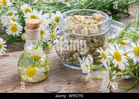 Daisy Infusion oder Tinktur Flasche, Kamillenblüten, Glas Glas trockener daisy Knospen. Stockfoto