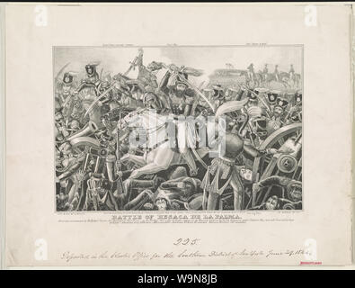 Schlacht von Resaca De La Palma Stockfoto