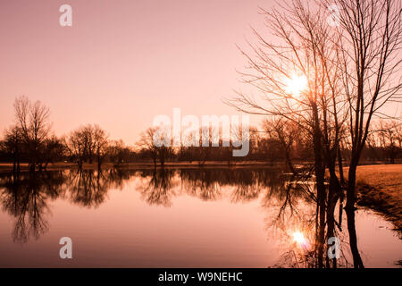 Rosa sunrise Landschaft am See mit kahlen Bäumen um Frühjahr 2018 Stockfoto