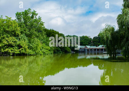 Acid green Aquarell Teich mit Gebäude mit Flagge auf einem Hintergrund, der Central Park, NYC Stockfoto