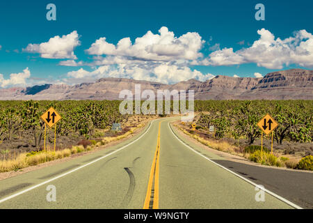 Straße in der Wüste von Arizona durch Joshua Bäume, Wald mit gelben Schildern Stockfoto