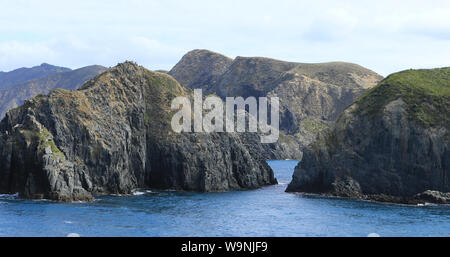 Eine ruhige Aussicht in der Cook Strait, Neuseeland Stockfoto