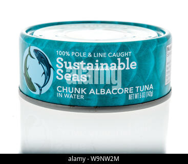 Winneconne, WI - 14. August 2019: ein Paket von nachhaltigen Meere Weißer Thunfisch auf einem isolierten Hintergrund Stockfoto